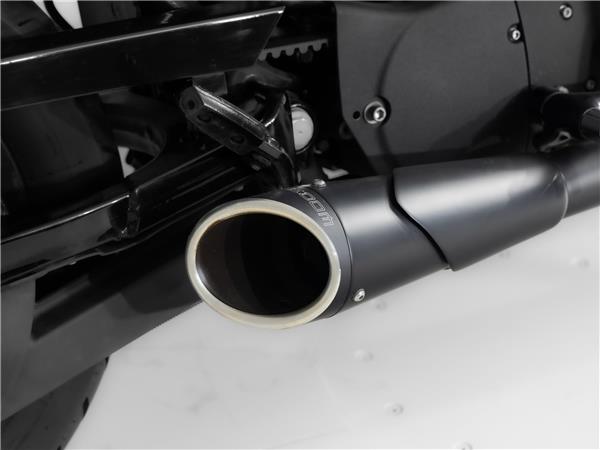 2013 Harley-Davidson 883 Iron