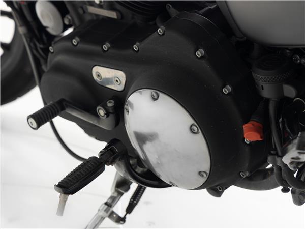 2013 Harley-Davidson 883 Iron