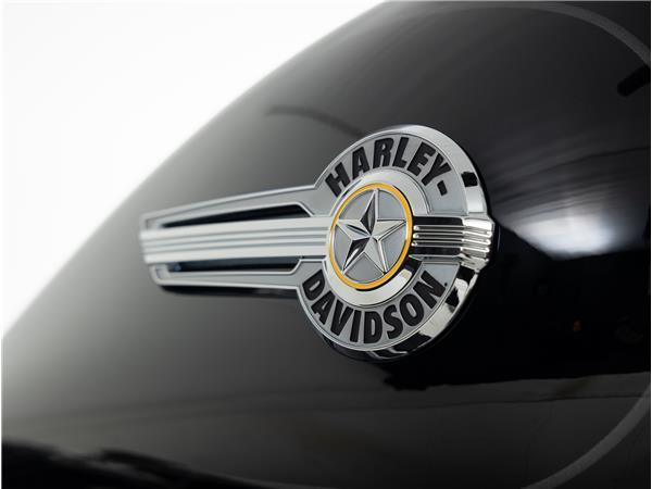 New Harley-Davidson FLFB Fat Boy Softail