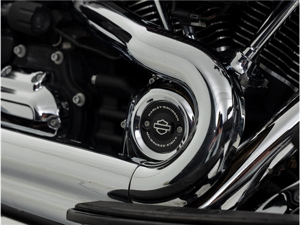 2021 Harley-Davidson FLSB Sport Glide Solid Color