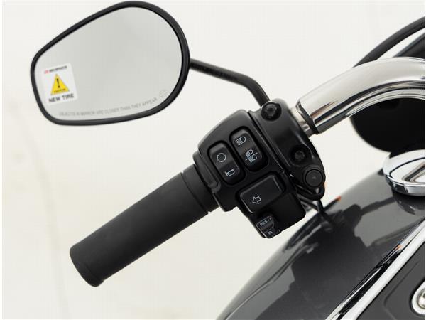 2021 Harley-Davidson FLSB Sport Glide Solid Color