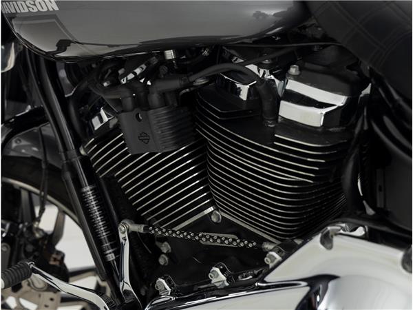 2021 Harley-Davidson FLSB Sport Glide Solid Color