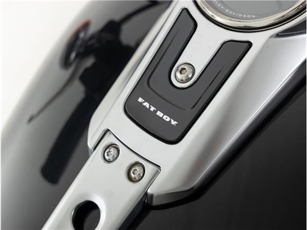 2018 Harley-Davidson FLFB Fat Boy Softail