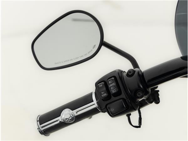 2015 Harley-Davidson FLSTFB 103 Fat boy LO