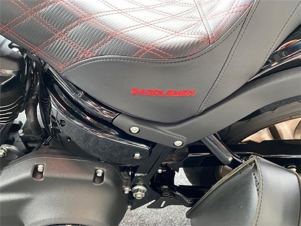 2023 Harley-Davidson FXLRS