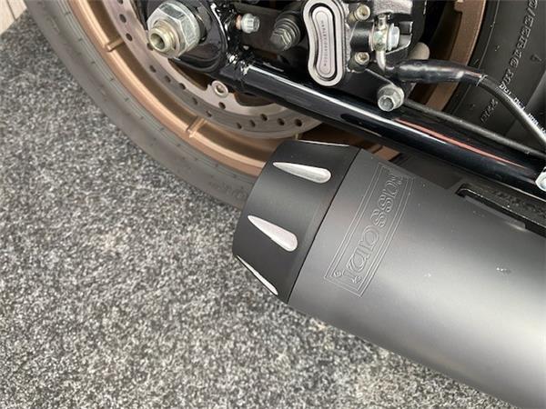 2023 Harley-Davidson FXLRS