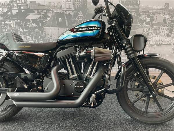 2019 Harley-Davidson XL1200NS Iron Special