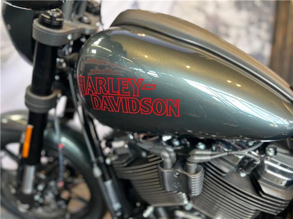 New Harley-Davidson SOFTAIL FXLRS LOW RIDER S Solid Colour