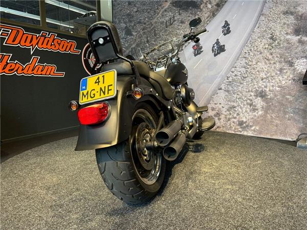 2016 Harley-Davidson FLSTFB Fat Boy Lo 103
