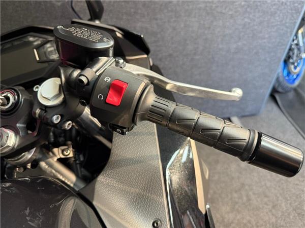 2024 Kawasaki Ninja 500