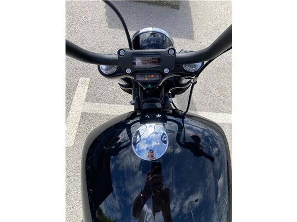 2024 HARLEY-DAVIDSON STREET BOB