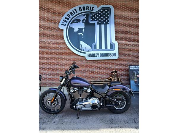 2025 HARLEY-DAVIDSON STREET BOB