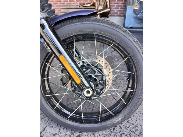 2025 HARLEY-DAVIDSON STREET BOB