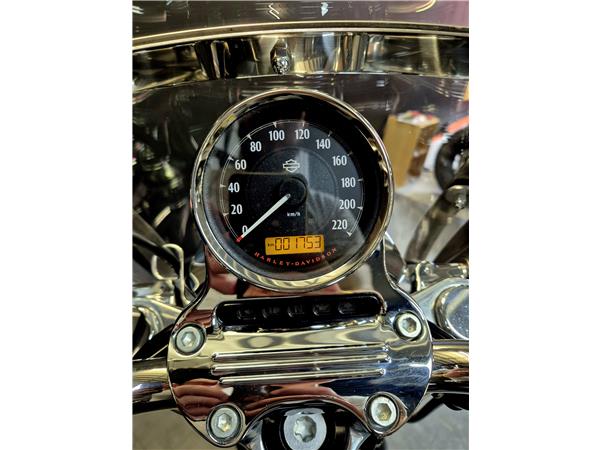 2015 HARLEY-DAVIDSON SUPERLOW