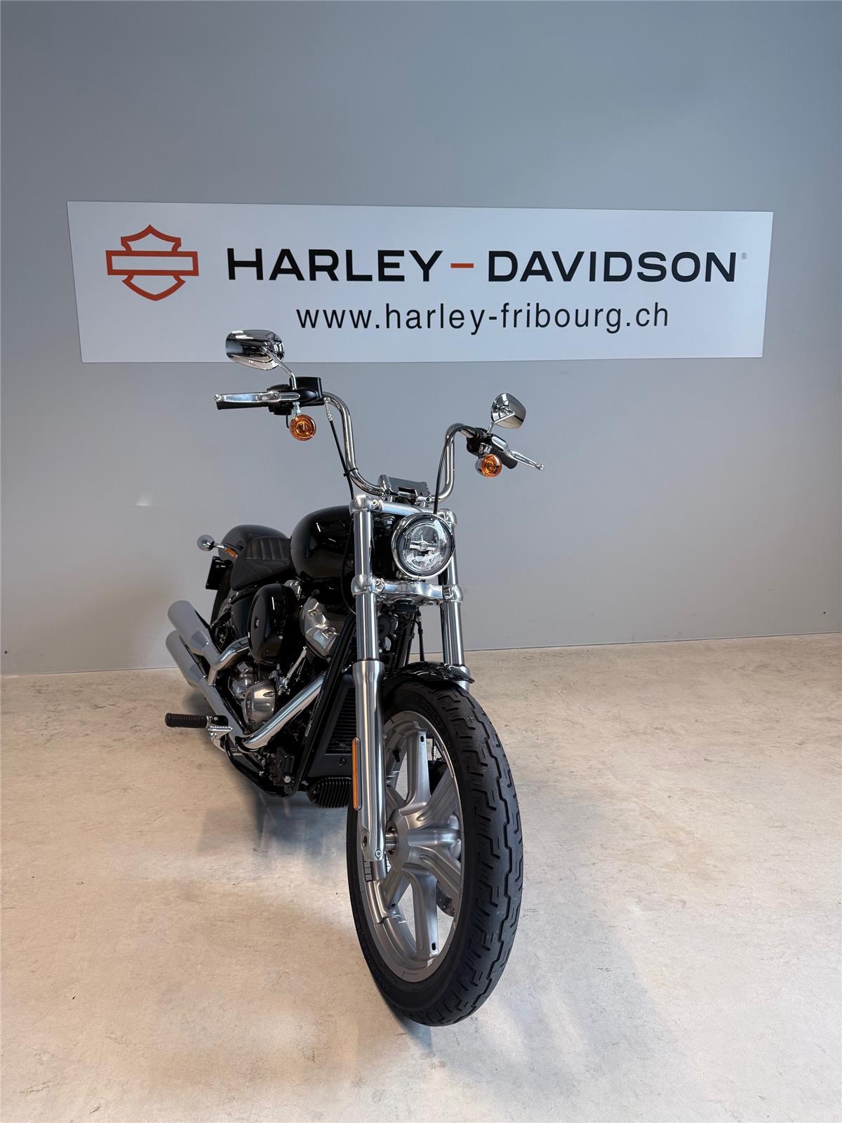 2022 harley-davidson FXST Softail Standard 107