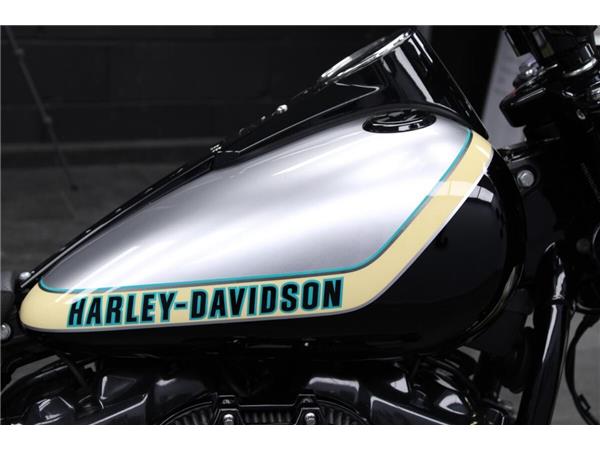 2019 Harley-Davidson Fat Boy 114