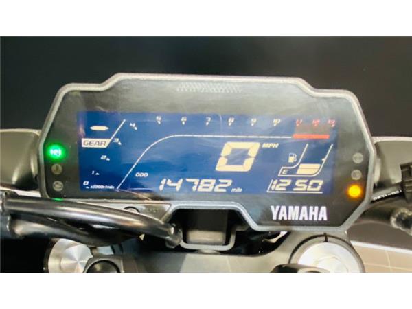 2022 Yamaha MT125 GREY