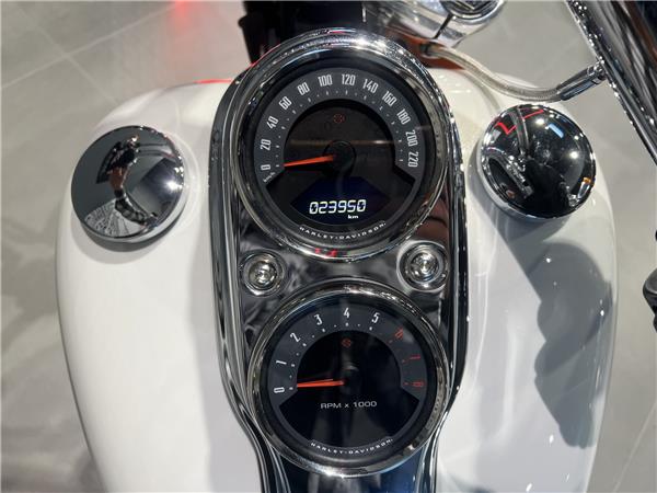 2018 HARLEY-DAVIDSON LOW RIDER