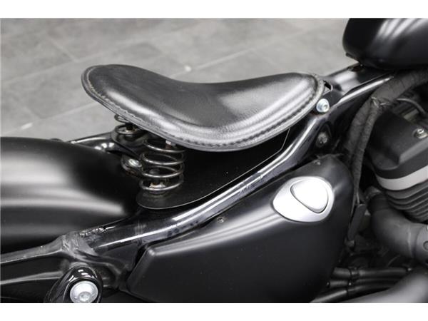 2012 Harley-Davidson Iron 883