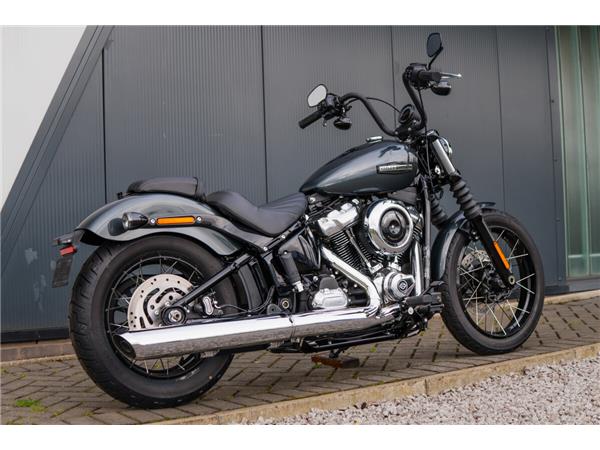 2025 Harley-Davidson Street Bob