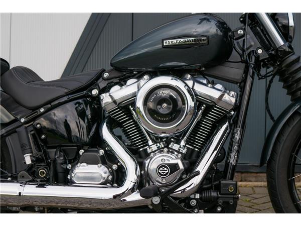 2025 Harley-Davidson Street Bob