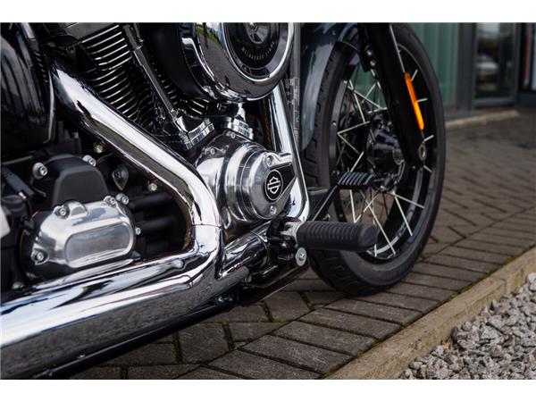 2025 Harley-Davidson Street Bob