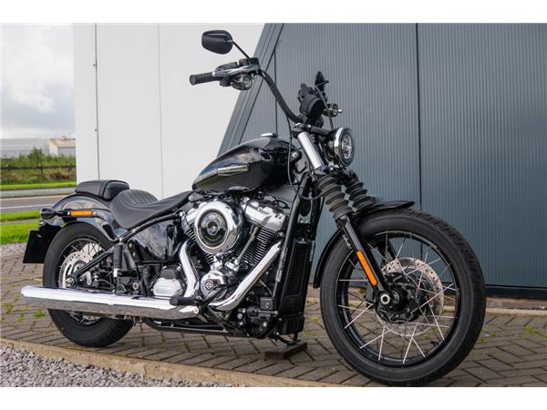 2025 Harley-Davidson Street Bob