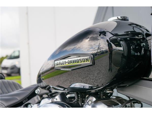 2025 Harley-Davidson Street Bob
