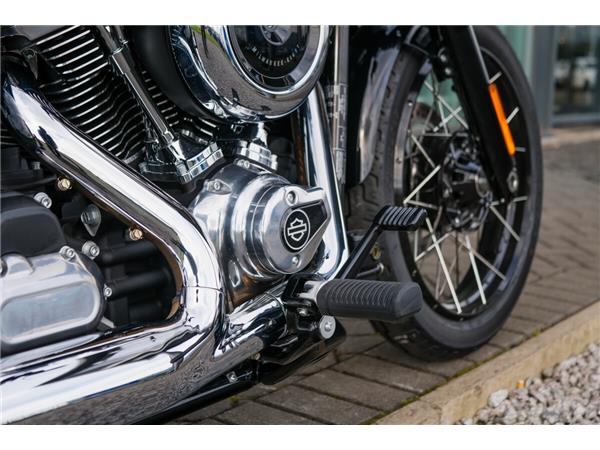 2025 Harley-Davidson Street Bob