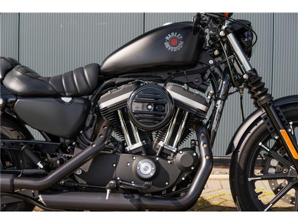 2020 Harley-Davidson Iron 883