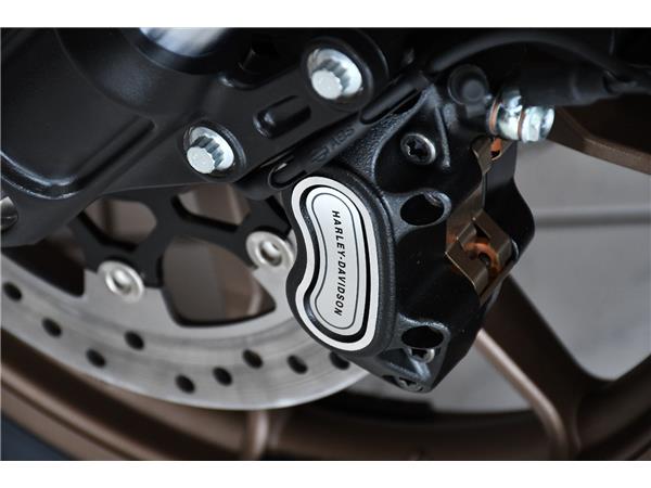 2024 HARLEY-DAVIDSON LOW RIDER S