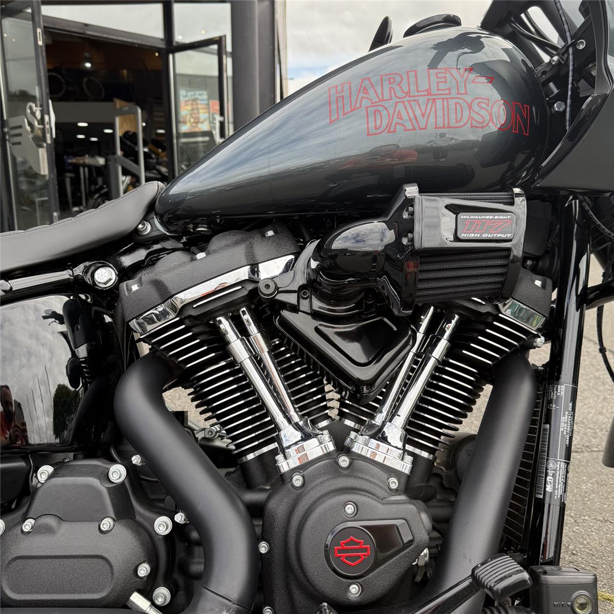 2025 HARLEY-DAVIDSON LOW RIDER