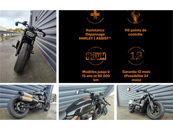 2024 HARLEY-DAVIDSON SPORTSTER 1250