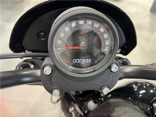 2025 HARLEY-DAVIDSON LOW RIDER