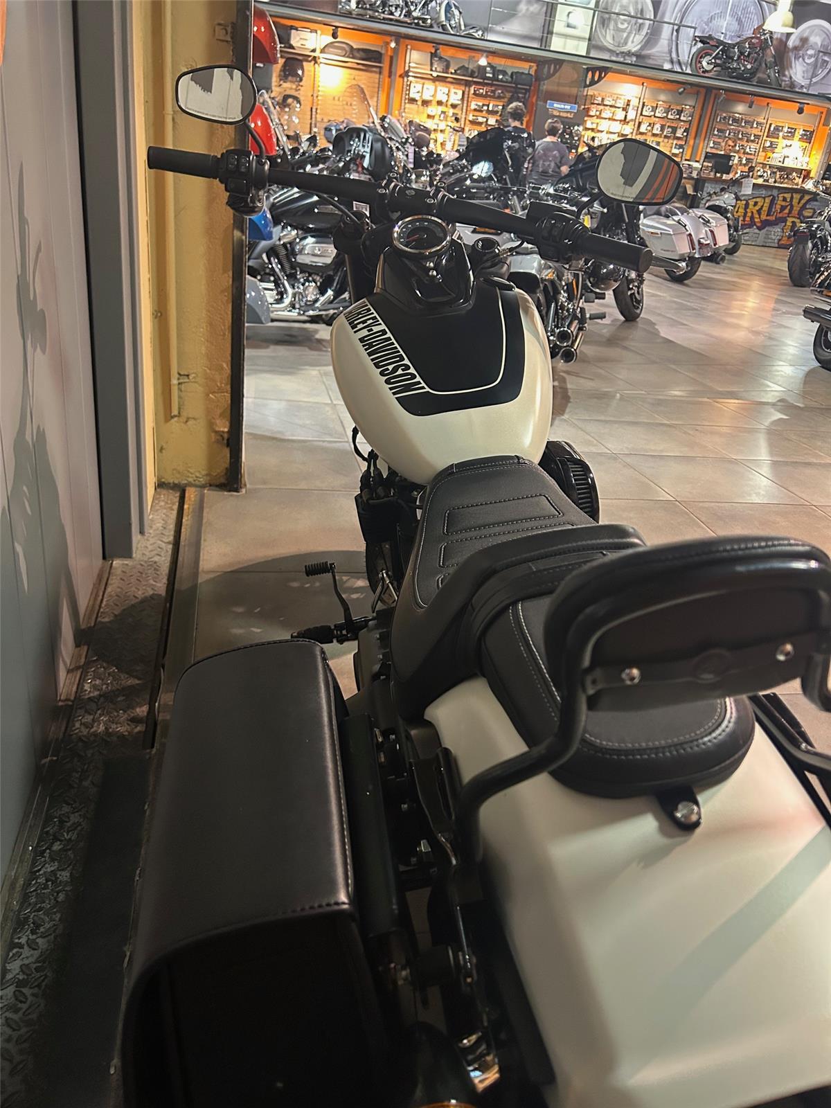 2019 HARLEY-DAVIDSON FAT BOB