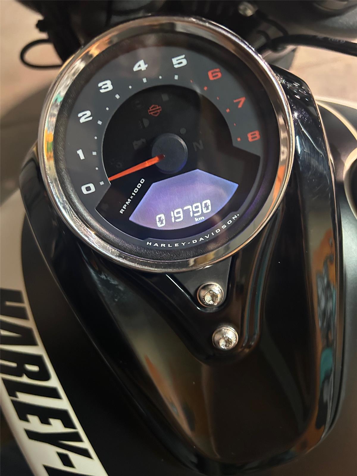 2019 HARLEY-DAVIDSON FAT BOB