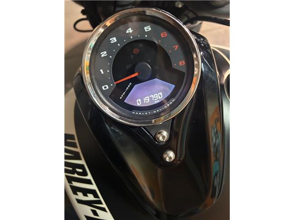 2019 HARLEY-DAVIDSON FAT BOB