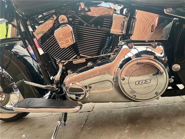 2017 HARLEY-DAVIDSON SOFTAIL FLSTN DELUXE