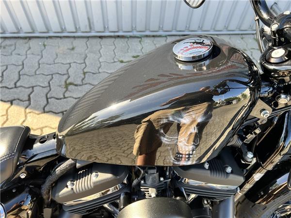 XL2 Sportster  48 