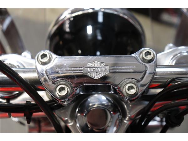 2009 HARLEY-DAVIDSON DYNA FXDC SUPER GLIDE CUSTOM