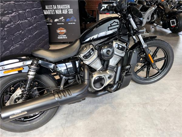 Nightster 