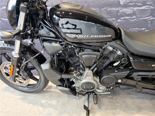 Nightster 