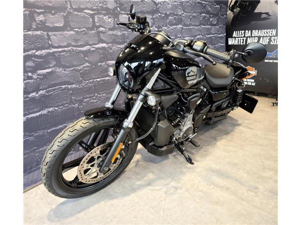 Nightster 