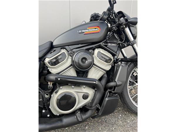 2024 Nightster Special