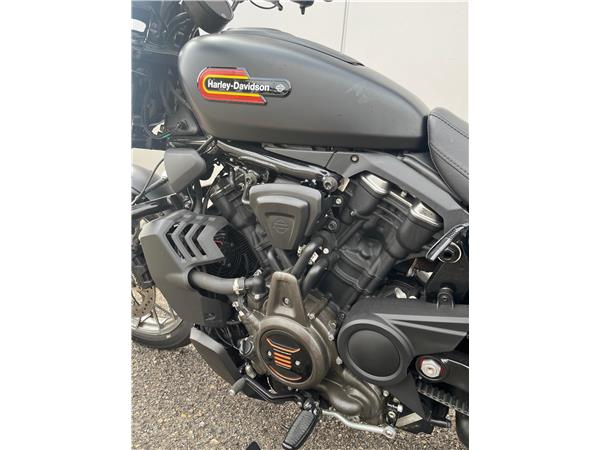 2024 Nightster Special