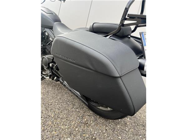 2024 Nightster Special