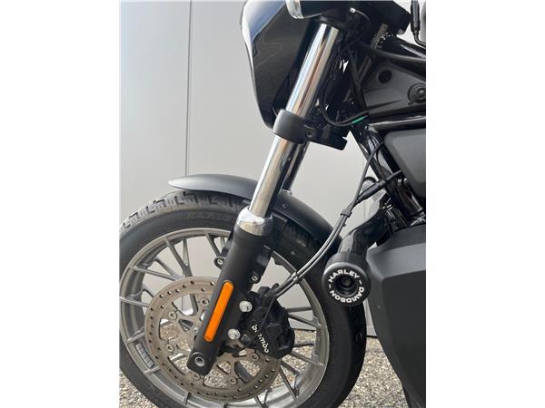 2024 Nightster Special