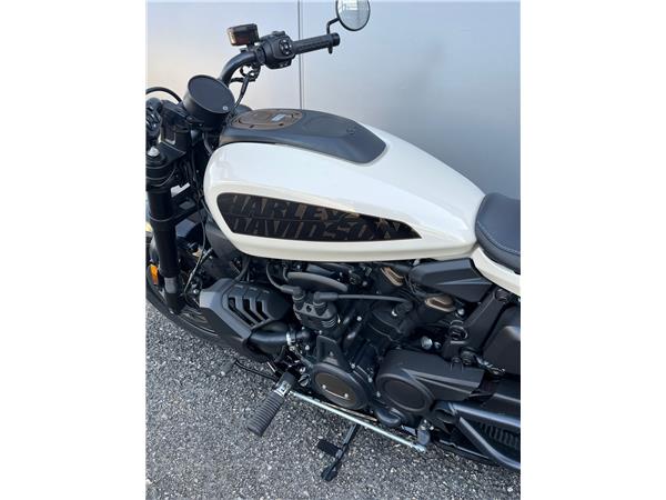 2023 Sportster S