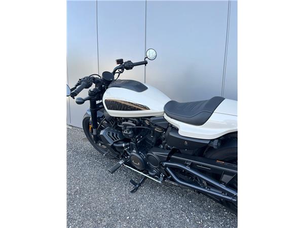 2023 Sportster S