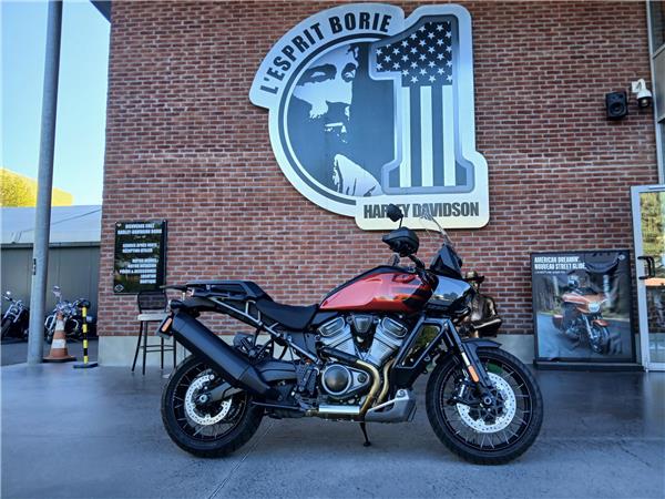 2025 HARLEY-DAVIDSON PAN AMERICA